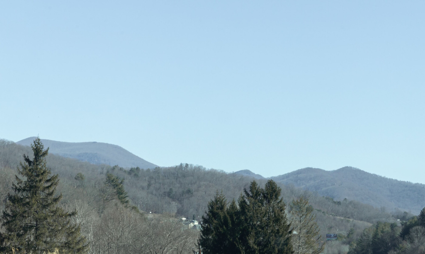 Others 4, The Furman Building, Buncombe