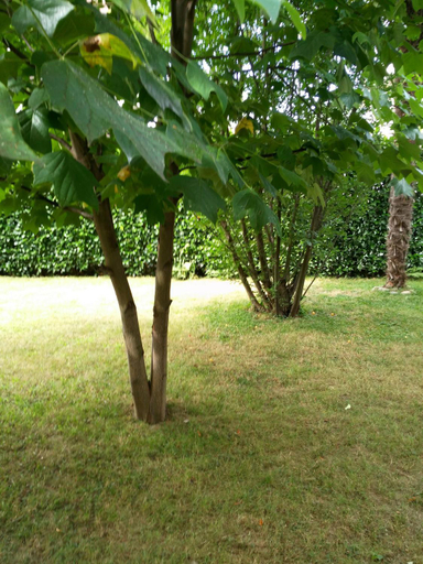 Others 4, Le3stanze, Novara