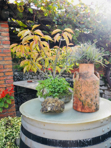 Others 4, Casa Los Laureles, Cantabria