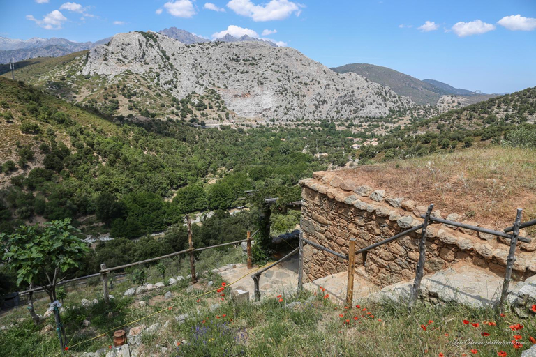 Others 4, Les Bergeries "Le figuier", Haute-Corse