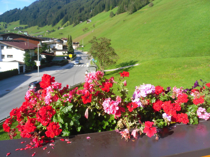 Others 4, Grunwaldhof, Schwaz