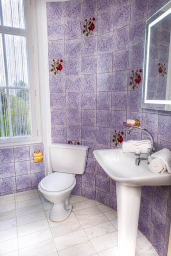 Bathroom 4, Le Chateau des Tourelles en Vendee, Vendée