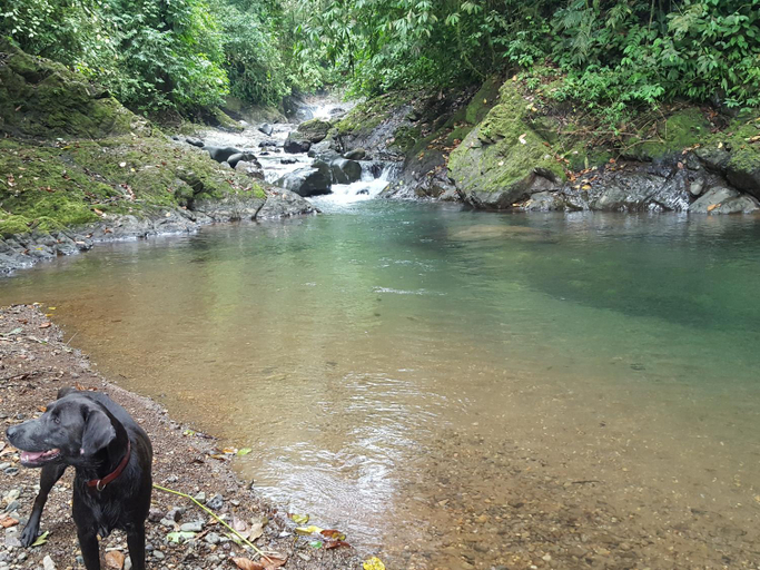 Others 4, Hacienda Mil Bellezas - Private 40ha Jungle Reserve, Aguirre
