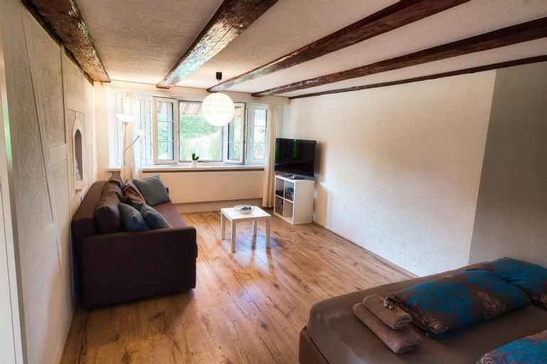 Others 5, Cozy apartment close to Zurich Airport and City, Dielsdorf