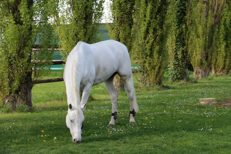Others 4, Le domaine de barbizon by Quartz investissements, Seine-et-Marne