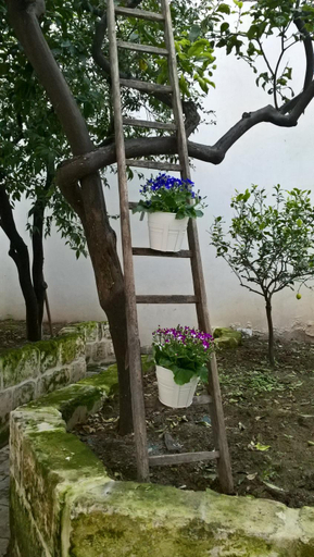 Garden 5, Dimora Antica Via MiLord, Bari