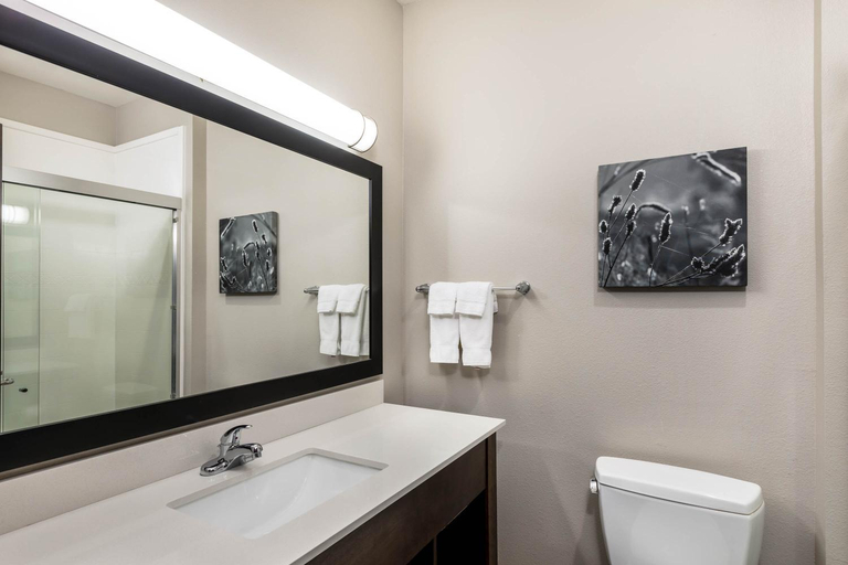 Bathroom 3, Comfort Inn & Suites, Rogers