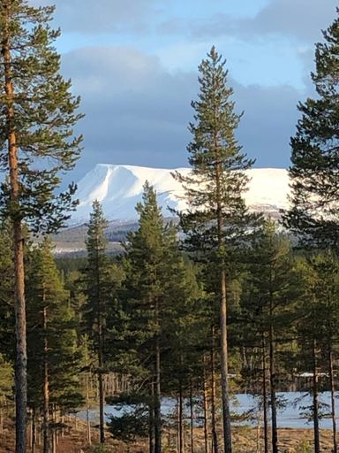 Others 3, Hede, stuga, Härjedalen
