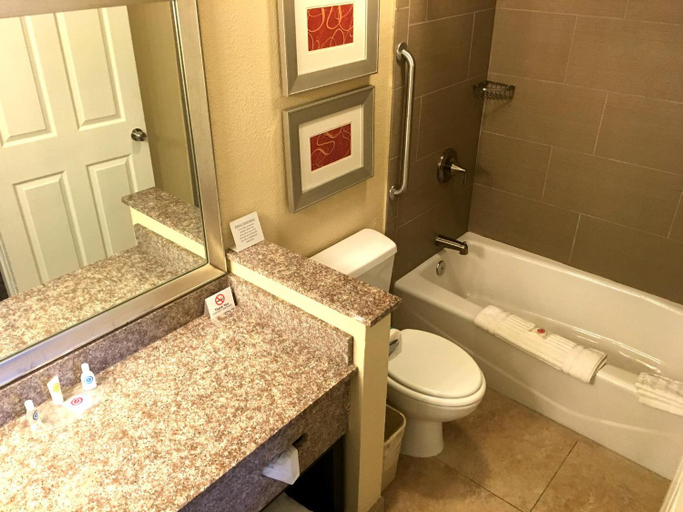 Bathroom 4, Comfort Suites Marietta-Parkersburg, Washington