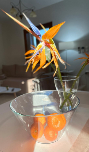 Food & Drinks 5, Pearls Of Crete - Holiday Residences, Crete