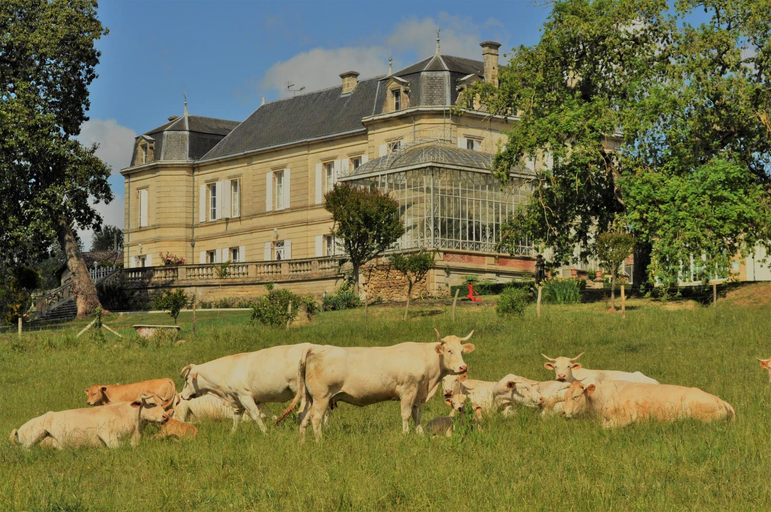 Others 5, Chateau Carbonneau, Gironde