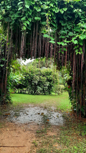 Others 4, Travis Post Homestay, San Juan
