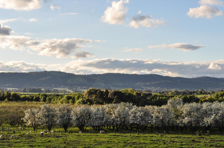 Others 2, The George at Yering, Yarra Ranges - Seville