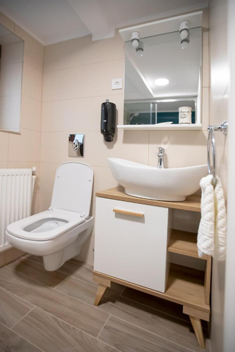 Bathroom 2, Brasha Residence, Brasov