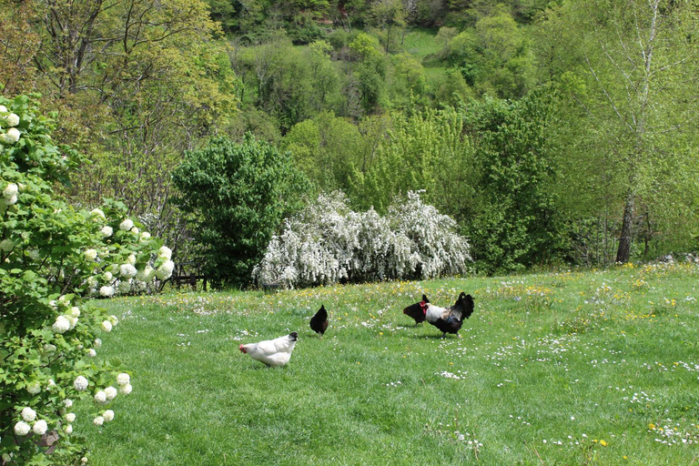 Others 4, La Grande Ourse, Hautes-Pyrénées