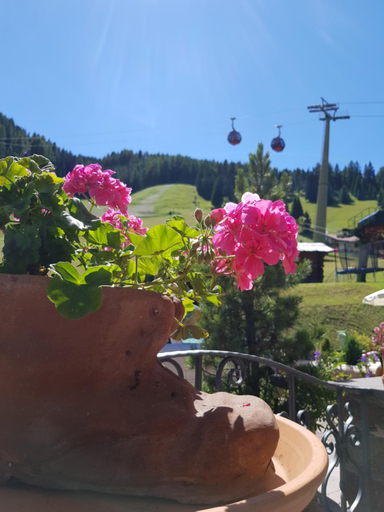 Others 5, Garni Rubens B&B, Bolzano