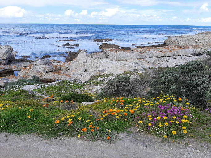 Others 4, Eirene Place, Overberg