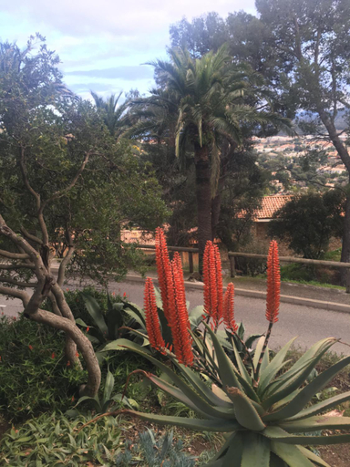 Others 4, Coeur de village, Var