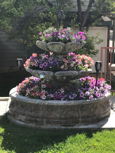 Others 3, Blue Spruce Inn-Meeker, Colorado, Rio Blanco