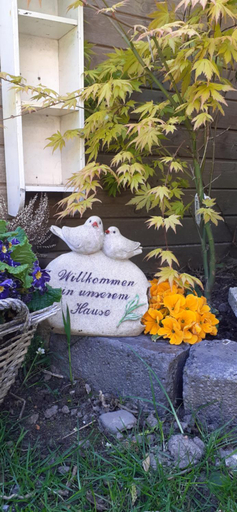 Others 5, Familie Postma B&B Anjum, Dongeradeel