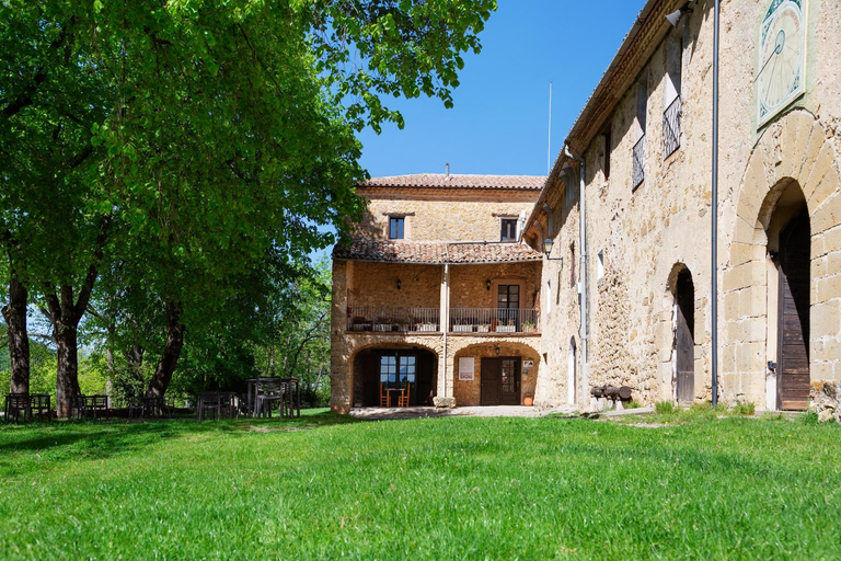 Others 5, Hostatgeria Falgars, Barcelona