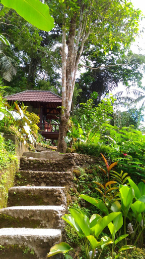 Scenery 10