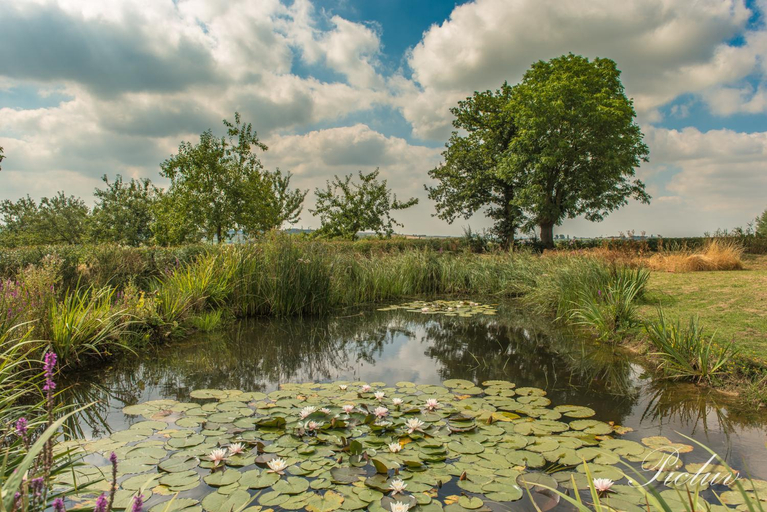 Others 5, De Kleine Mote, West-Vlaanderen