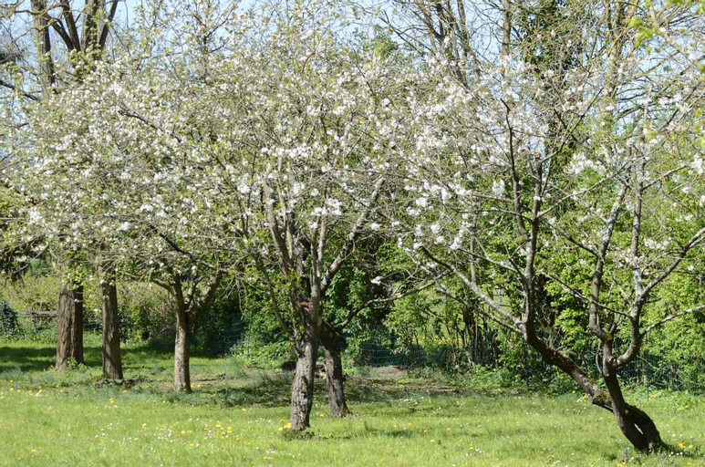 Scenery 7