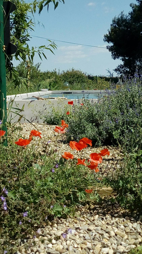 Others 5, Domaine de Manteau-Bleu, Hérault