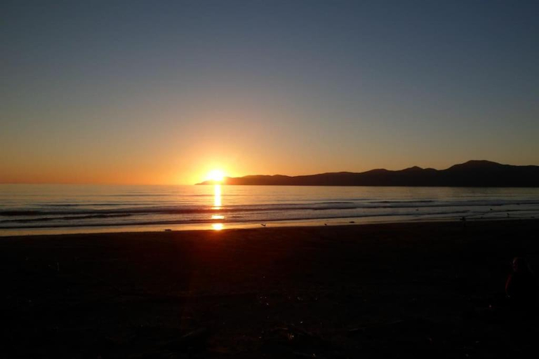 Others 5, Dream Escape for 2, Kapiti Coast