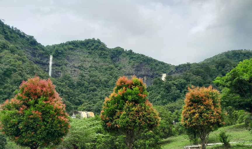 Scenery