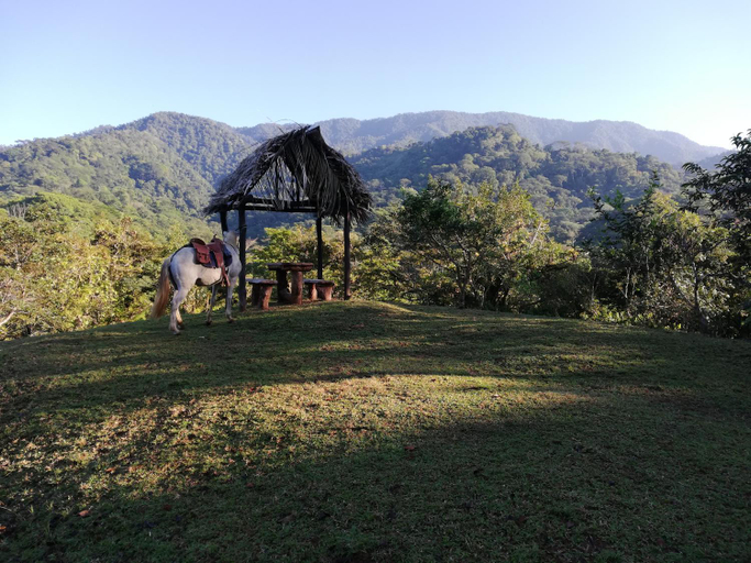 Others 3, Hacienda Mil Bellezas - Private 40ha Jungle Reserve, Aguirre