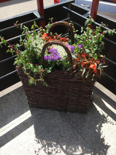 Others 5, Cafe Blaich - Hotel Garni, Calw