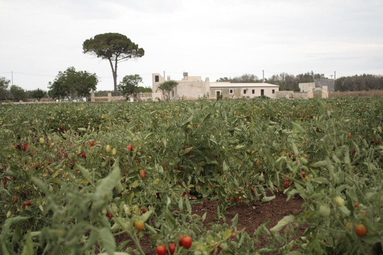 Others 3, Casina Solatia, Lecce