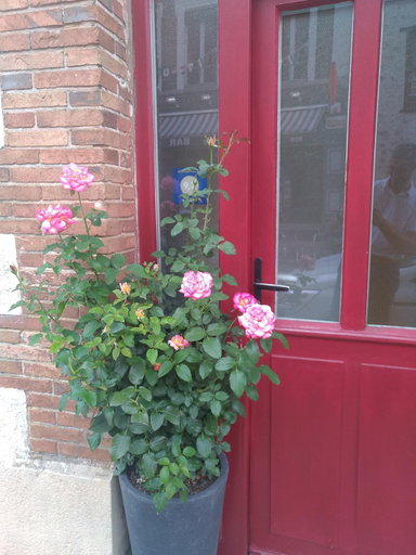 Exterior & Views, Au Richebourg Nogent, Aube