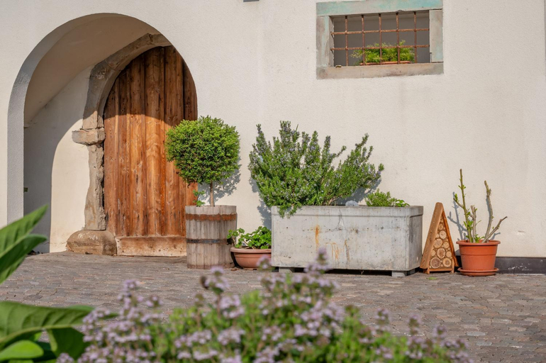 Others 4, Weingut Lahn zu Eppan, Bolzano