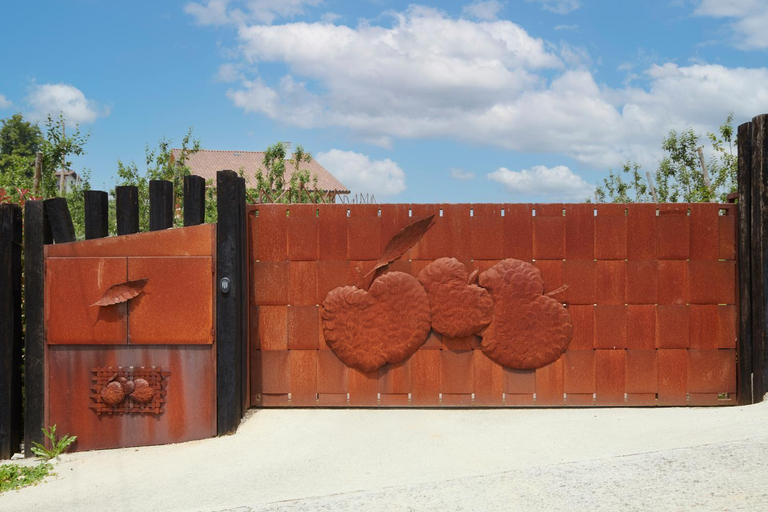 Entrance 4, OLIVI 1948, Guipúzcoa