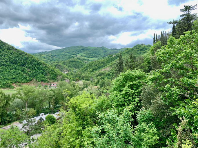 Others 5, La Forestale Luxury Ecolodge B&B Primo Piano, Pesaro E Urbino