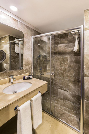 Bathroom 3, Premier Inn Sakarya, Merkez