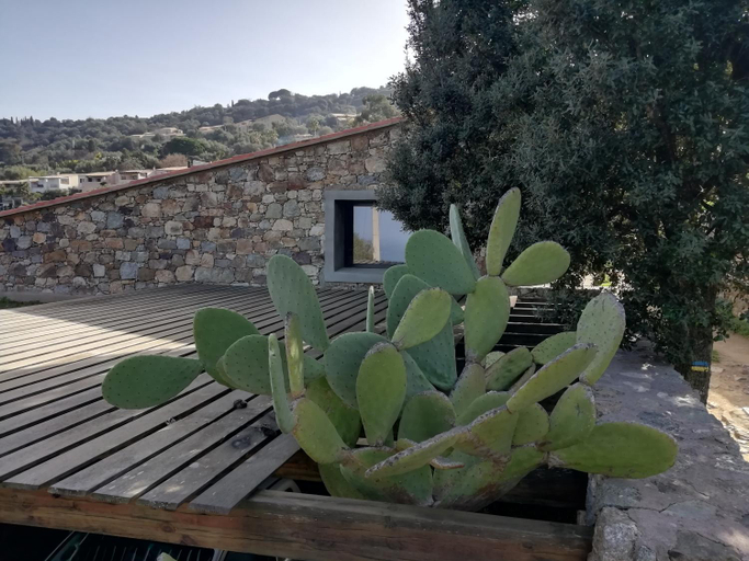 Others 3, Clos Olivella, Haute-Corse
