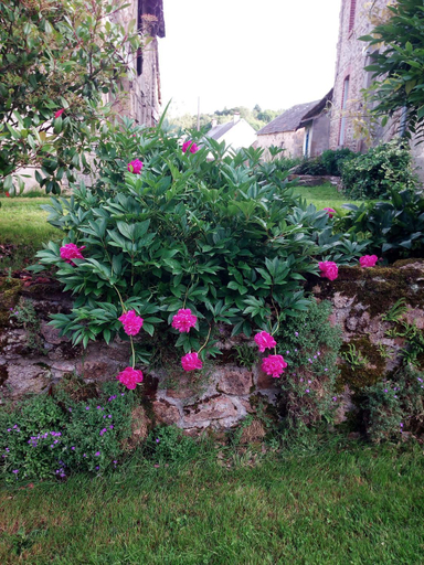 Others 4, Village de Vie, Creuse