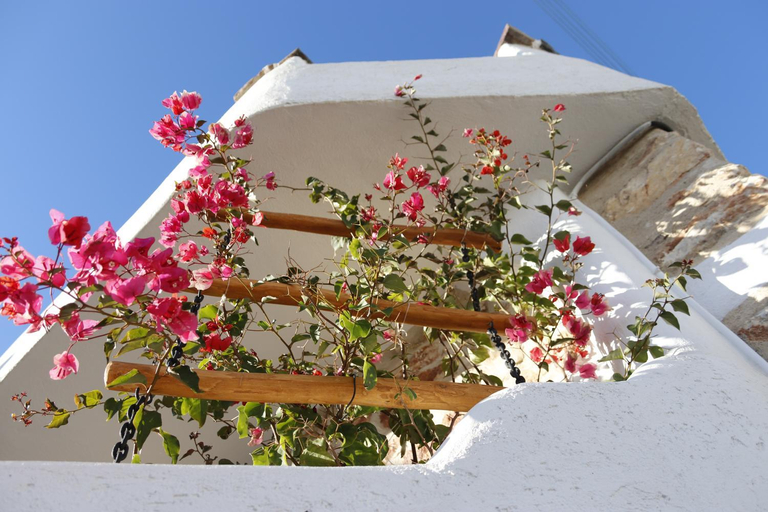Others 4, Kontoudi's House, South Aegean