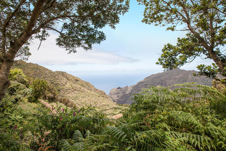 Others 3, Casa Chinamada, Santa Cruz de Tenerife