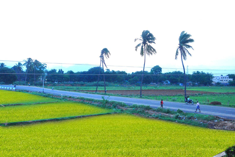 Others 4, Sixth Star Inn, Theni
