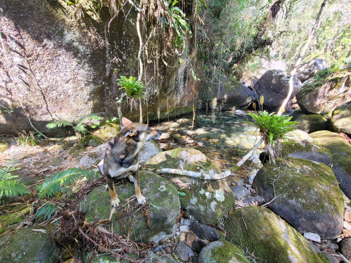 Others 3, IVOS Hostel & Camping, Itanhomi