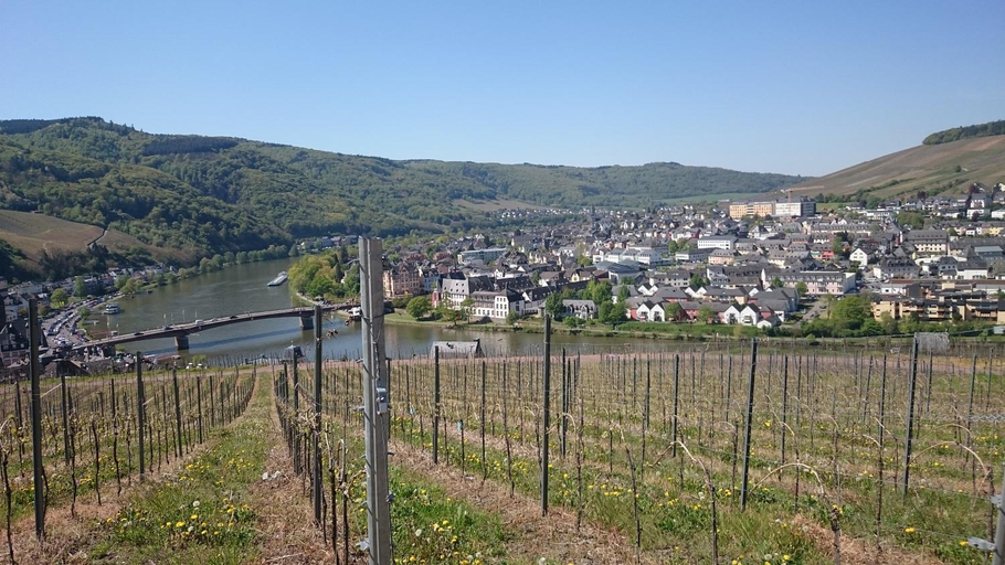 Others 5, Gastehaus am Schlossberg, Bernkastel-Wittlich