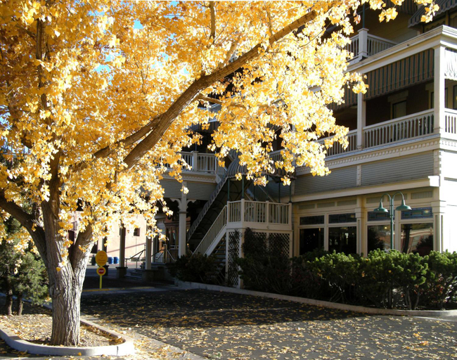 Exterior & Views 1, General Palmer Hotel, La Plata