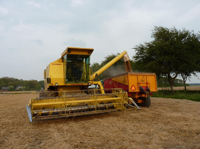 Others 5, de Twee Paardjes, Eemsmond