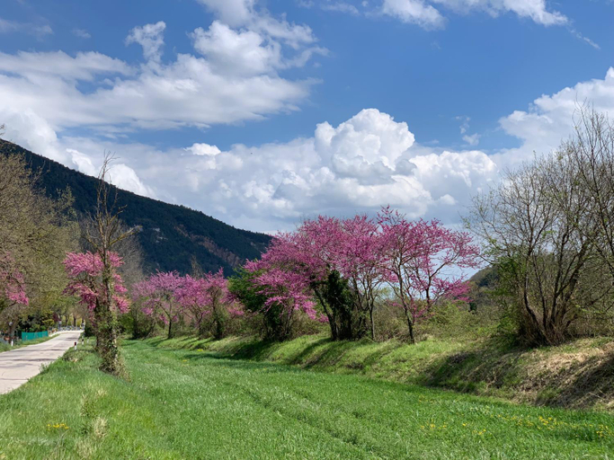 Others 3, La Forestale Luxury Ecolodge B&B Primo Piano, Pesaro E Urbino