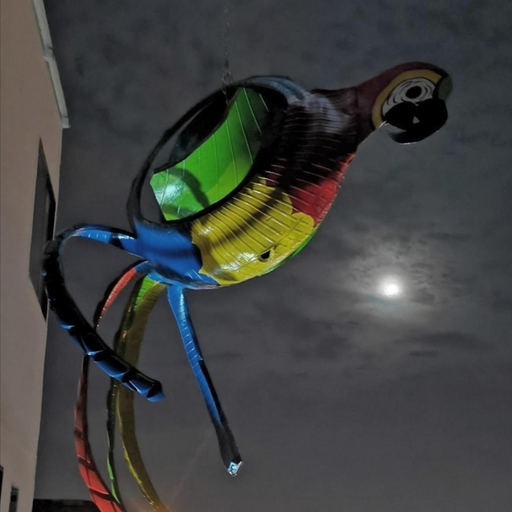 Others 2, Parrot House San Antonio, Santiago de Cali